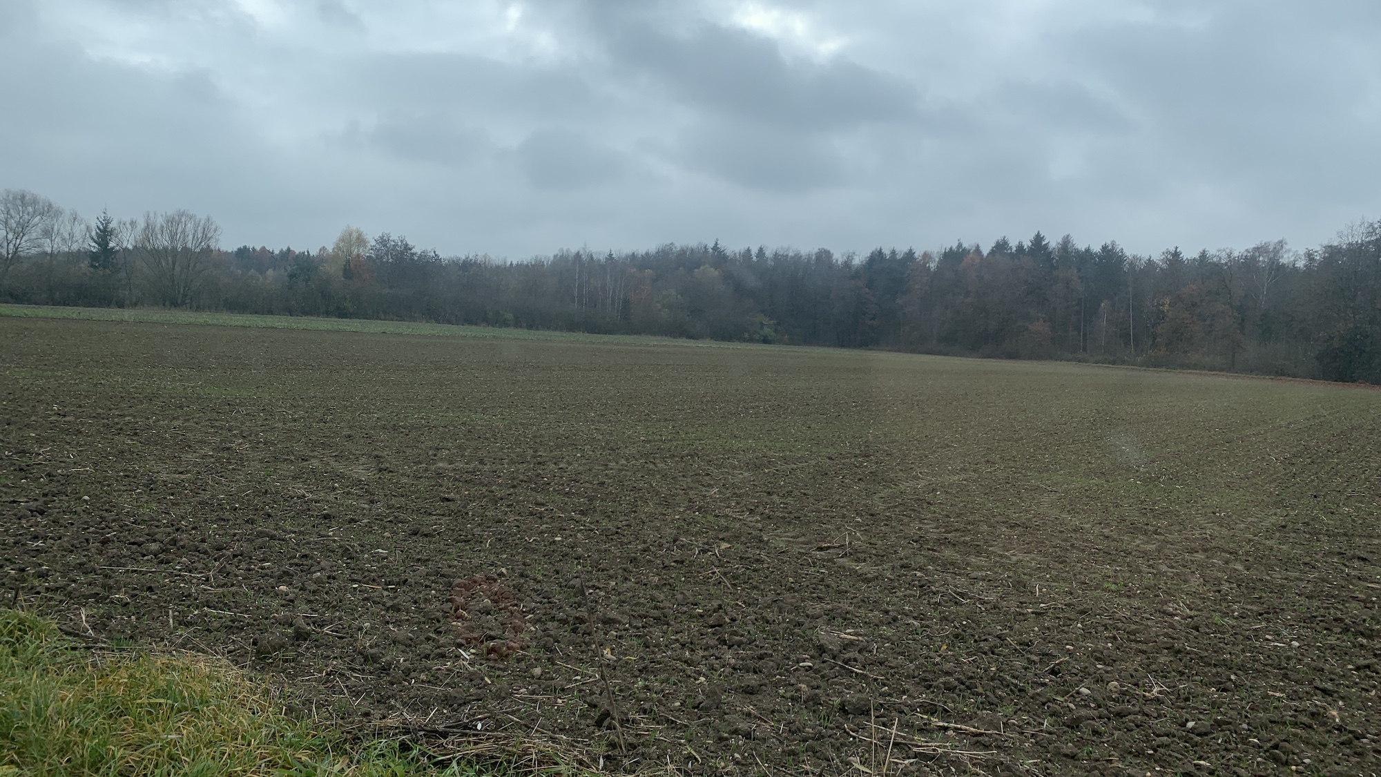 Betriebsführung auf Freiflächenanlage