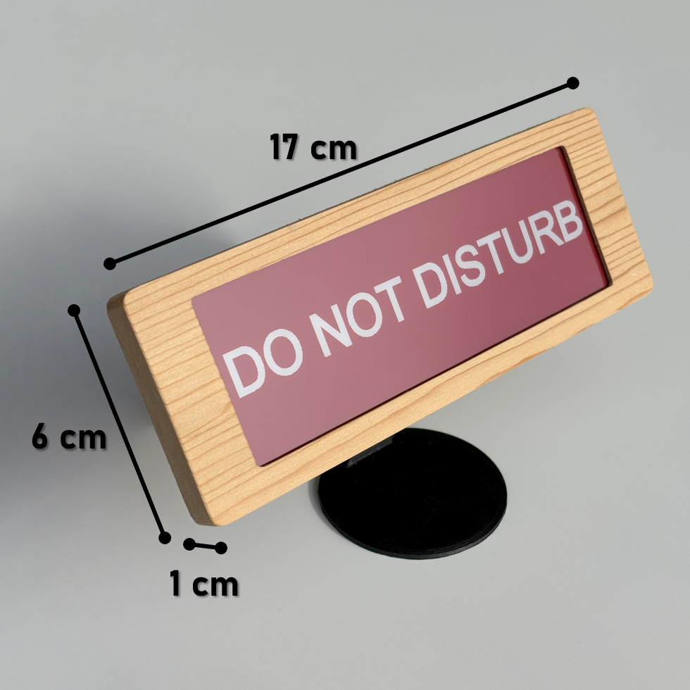 DoorTag housing (168 × 62 × 10 mm)
