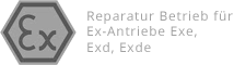 Service Partner Ex