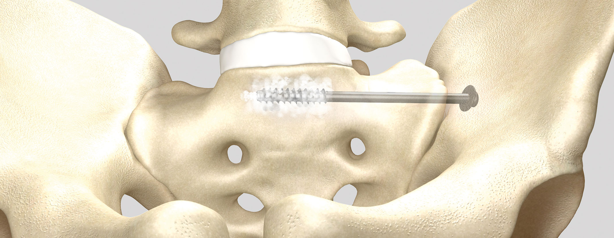 TISS Anatomie-Workshop
