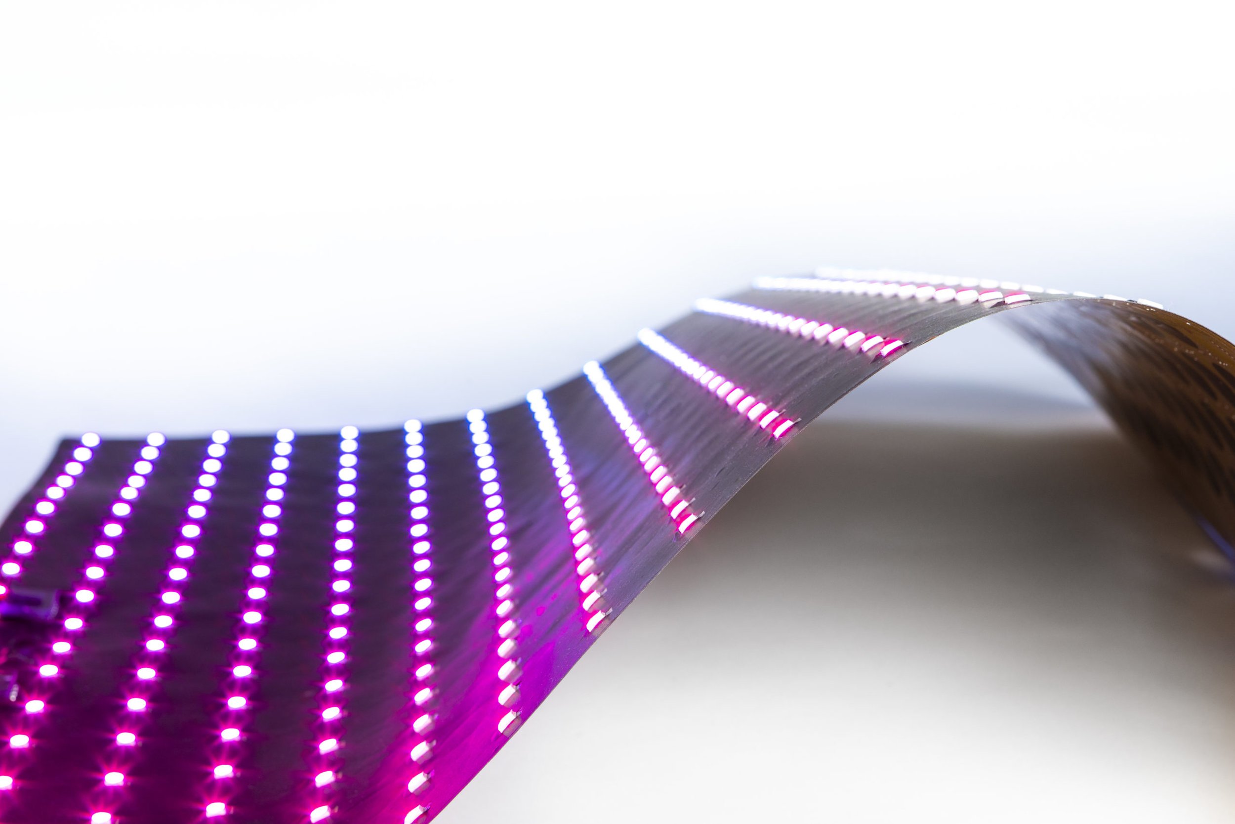 ledTec.flex P32 Wallpaper