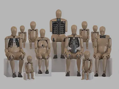 Crash-Test-Dummies (ATD-Familie)