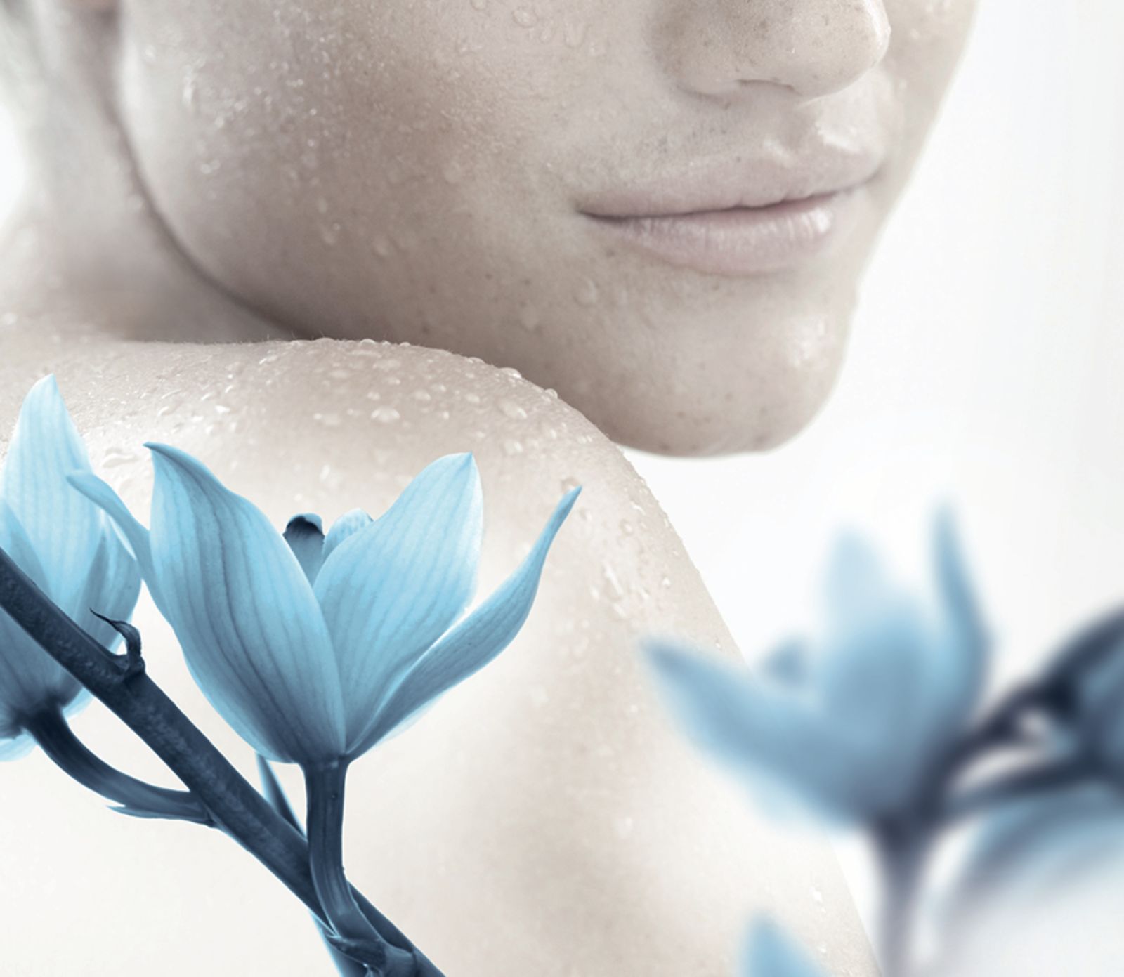 Cosmetics – Personal Care Division