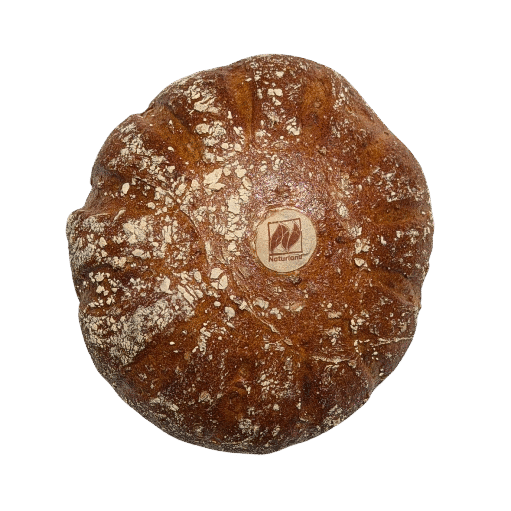 BIO-Sonnblumenbrot