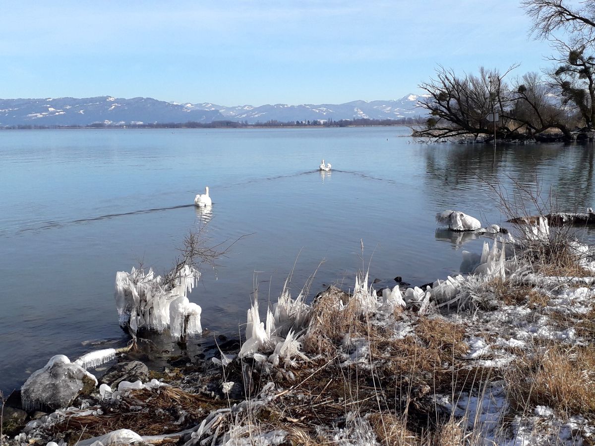 Argen-Region: Eistobel und Bodensee