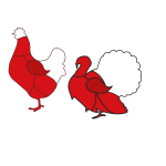 Hähnchen- und Putenteilstücke