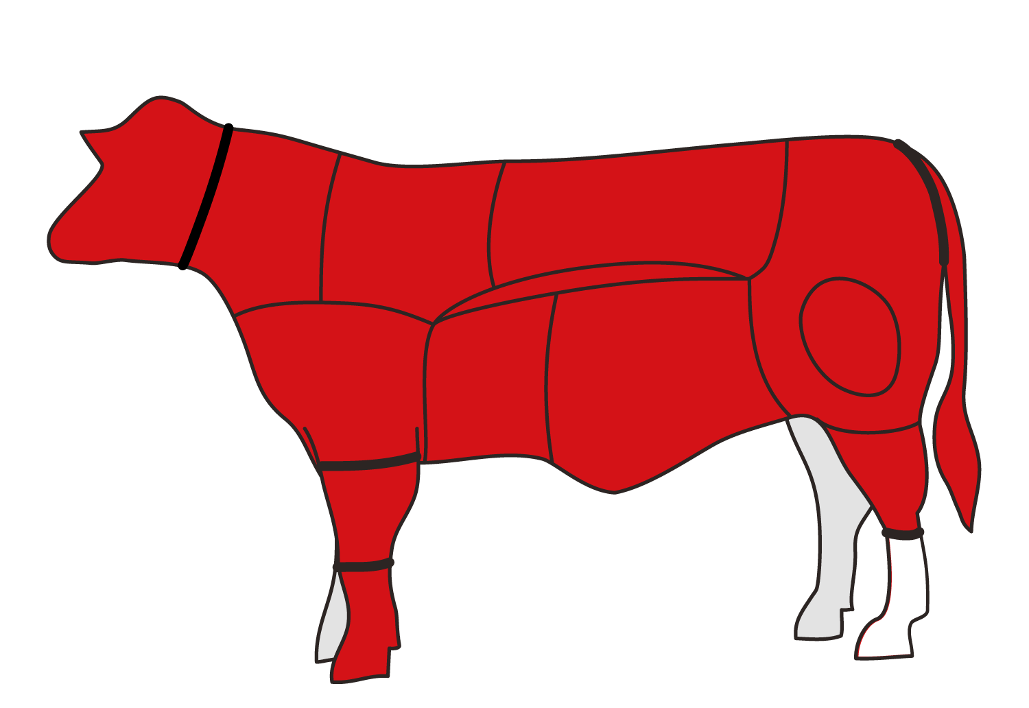Kalbsteile (zugeschnitten)