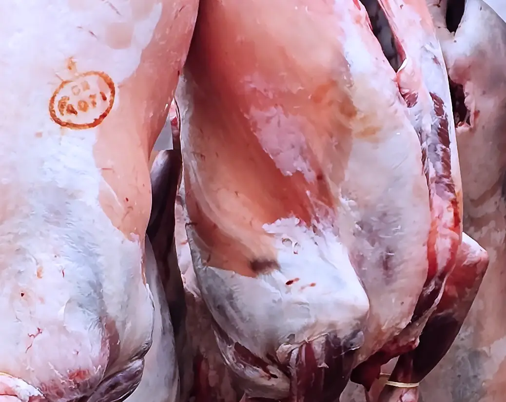 Fleisch für Discount und Metzgereien