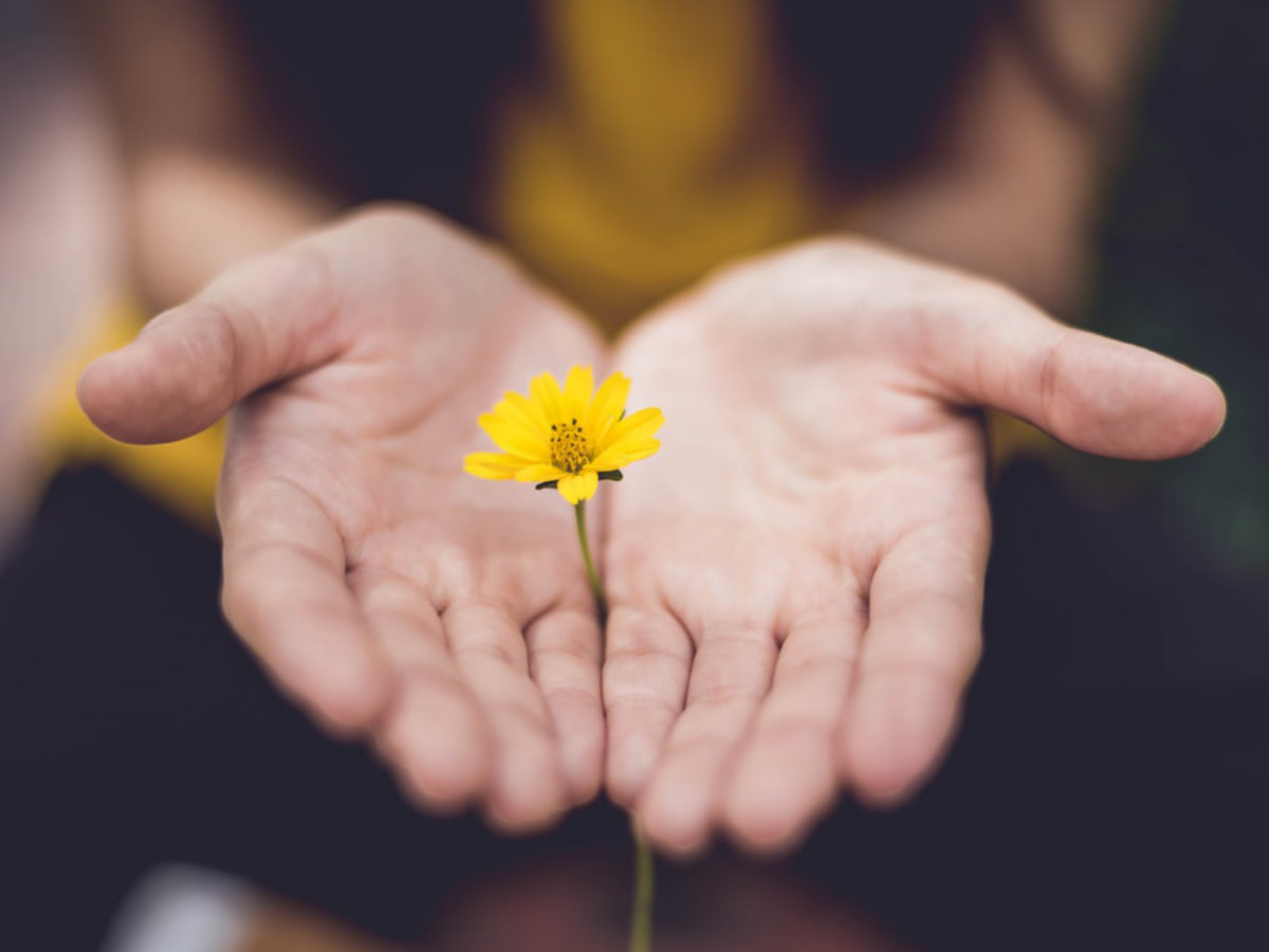 Energetic Therapies