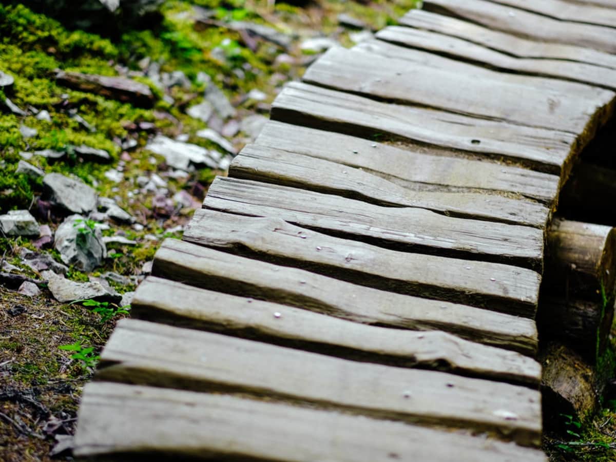 Wooden Bridge