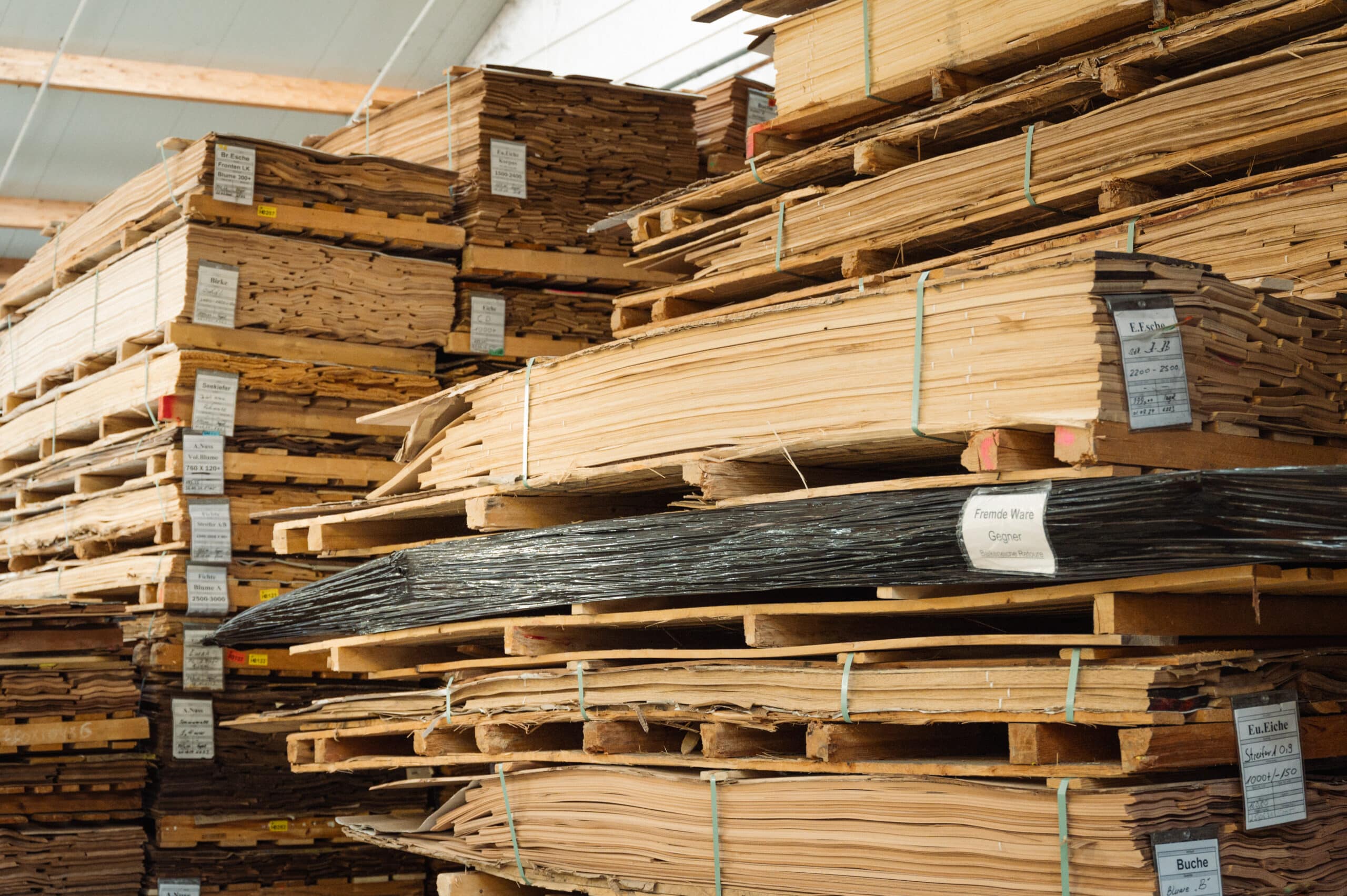Holzbaumodul