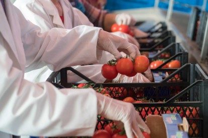 Expertenartikel zu Food Authenticity