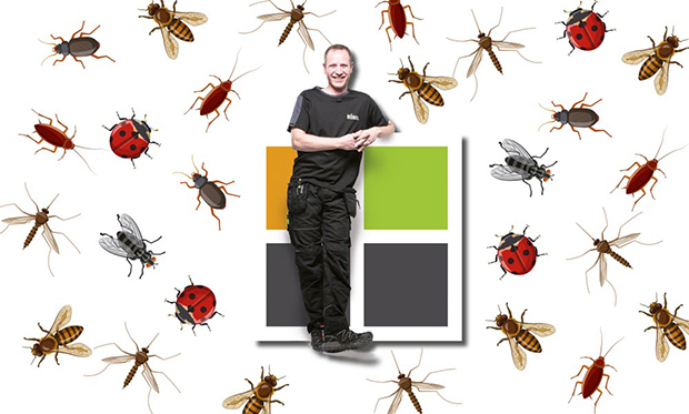 Insektenschutz