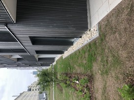 Dachbegrünung