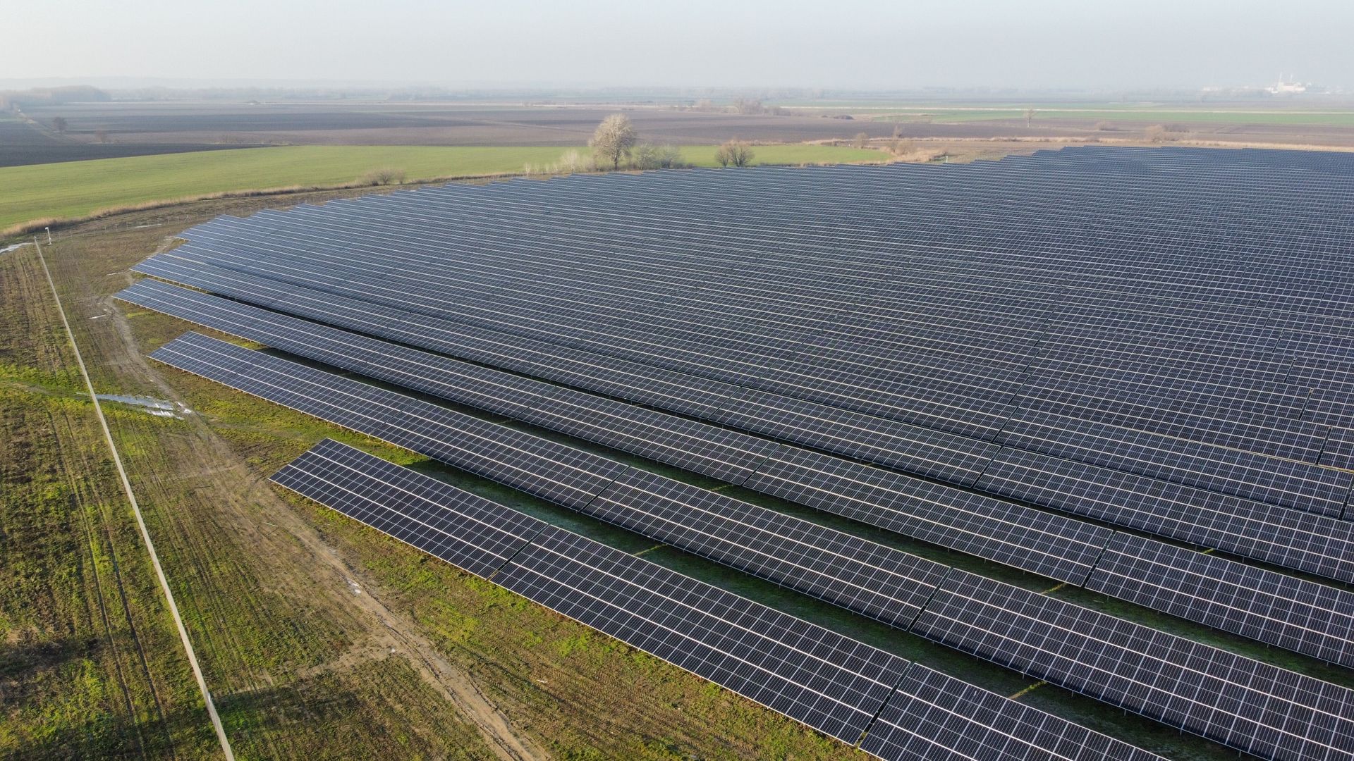 Agri-PV Großanlage