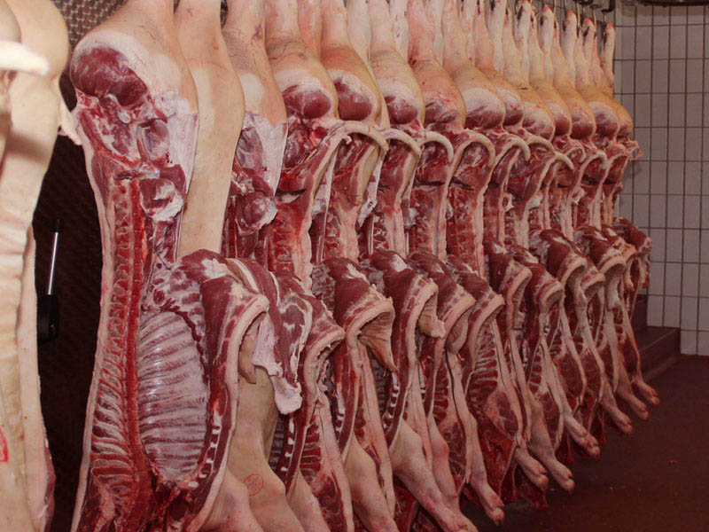 Frisches Fleisch aus eigener Schlachtung
