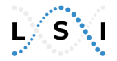 LSI Logo