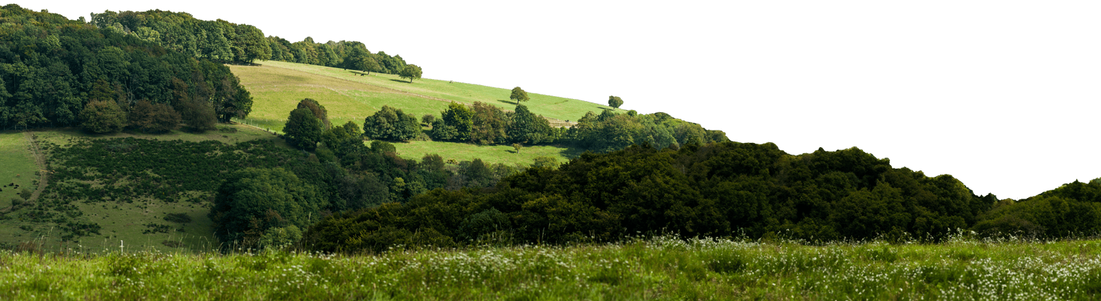 Hilly landscape in the Odenwald, the region of origin of the mineral water