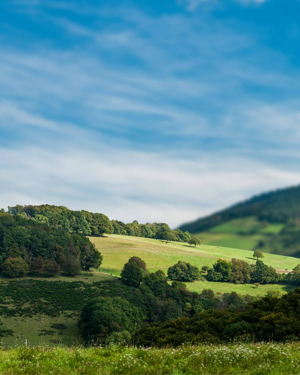 Odenwald Quelle – Fertigung