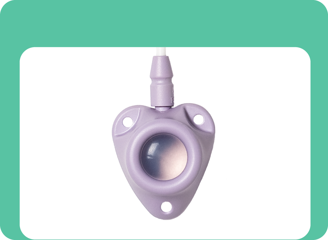C-Port®-CT Port System