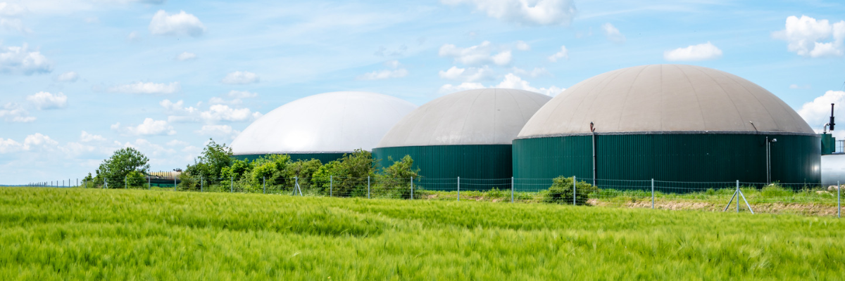 Biogas