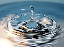Flocculants and water treatment products