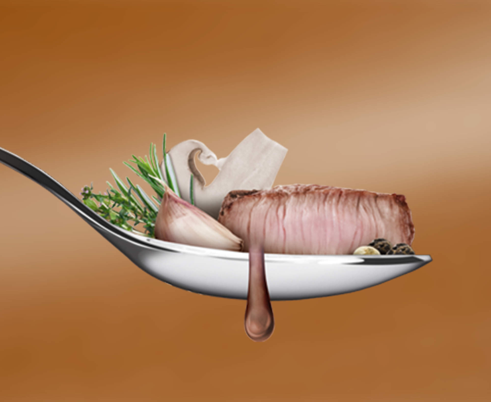 Aromen für kulinarische Produkte