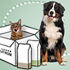 PLATINUM subscription for dogs and cats