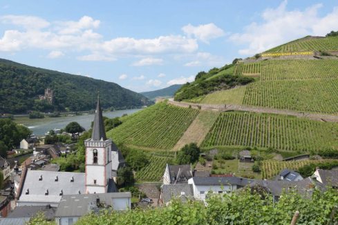 Standort Rüdesheim am Rhein (Assmannshausen)