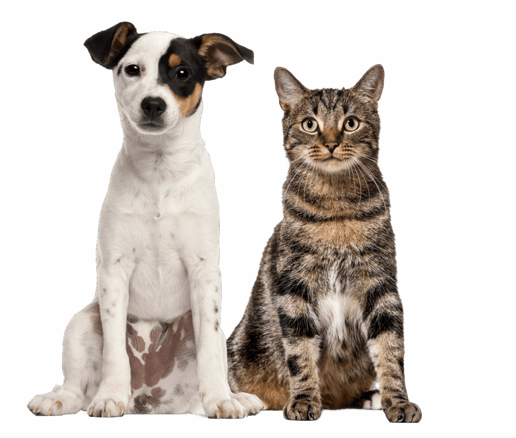 Galaxxy Pet Food – Fertigung