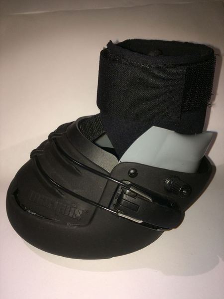 Hufschuh-Schale mit Widia-Stiften