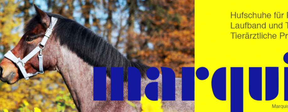 Marquis Logo