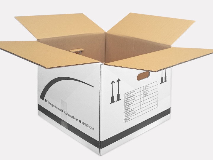 Standard box with hand grips