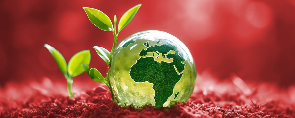 CO2-Reduktion und Nachhaltigkeit