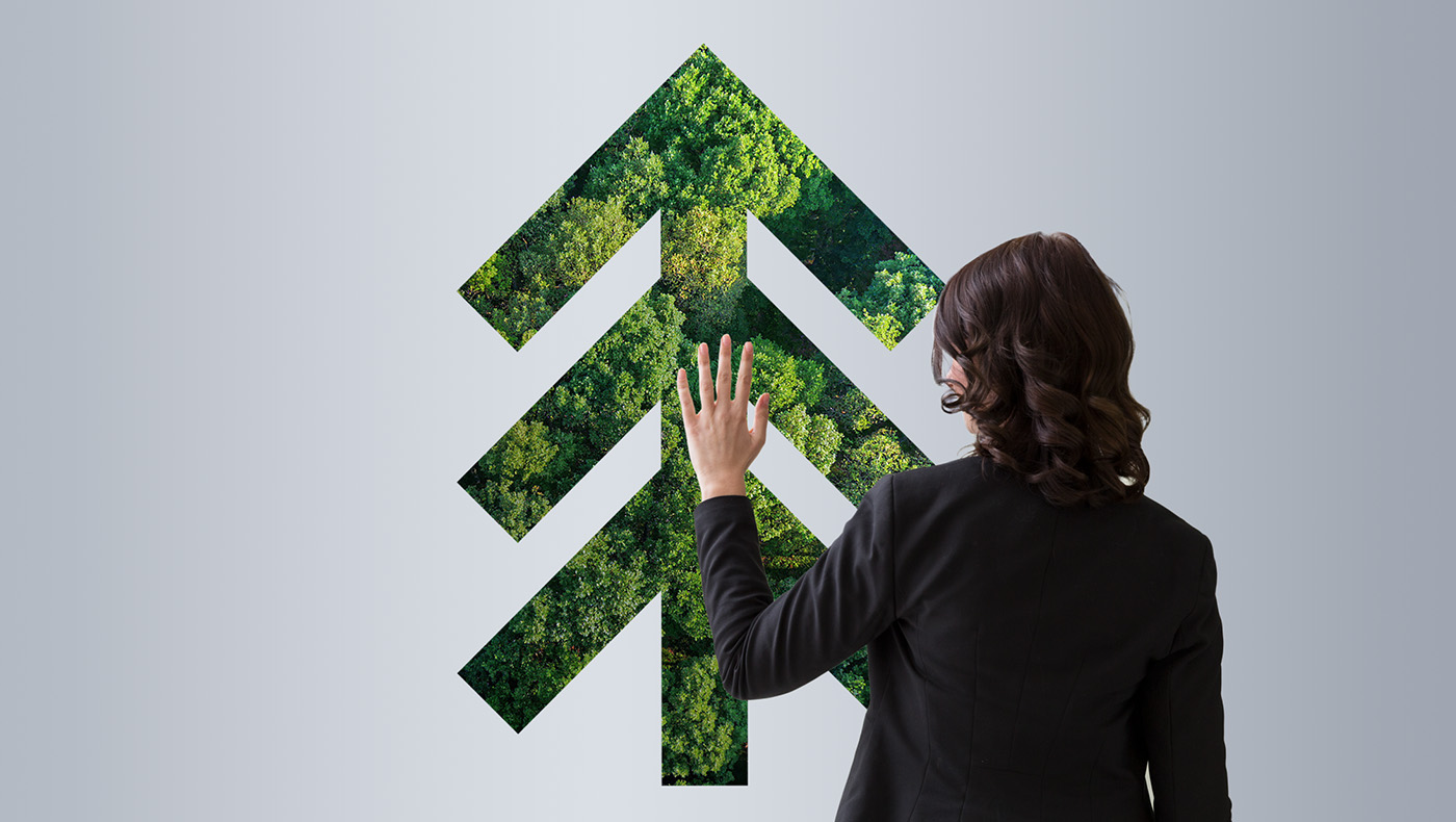 Nachhaltigkeit (Greentech)