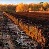 Organic soil improvers (peat, champost)