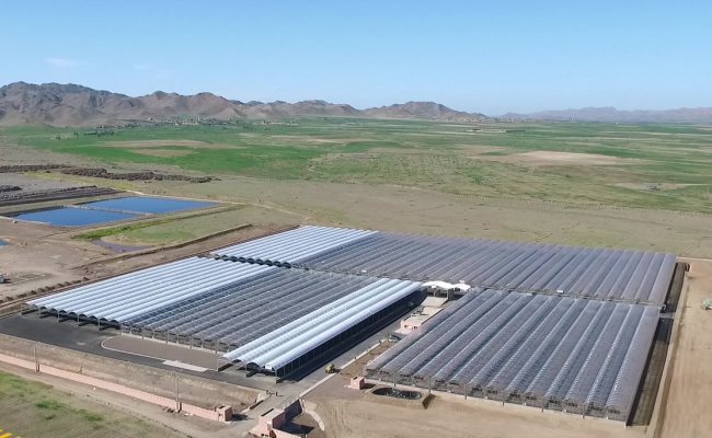 Solare Trocknungsanlage Marrakesch (Marokko)