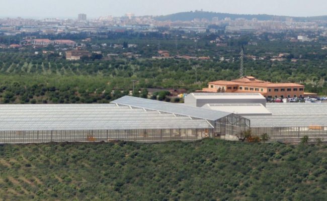 Größte solare Trocknungsanlage Spaniens, Palma de Mallorca