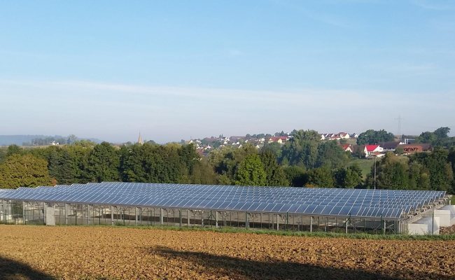 Solare Trocknungsanlage mit Speichertrockner-Konzept Obersontheim (DE)