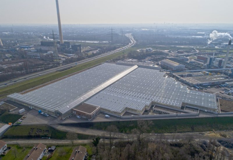 SolarBatch – chargenweises Trocknungsverfahren