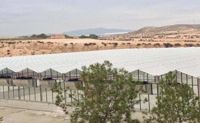 Solar-thermische Trocknungsanlage Murcia (Spanien)