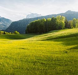 Landschaftspflege