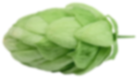 Hopfen – Rohstoff