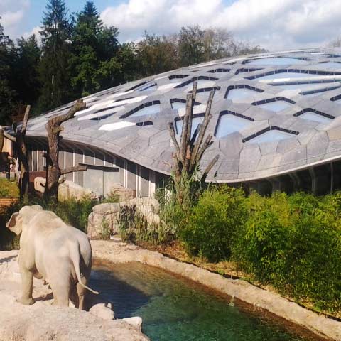 Dachunterkonstruktion Elefantenhaus Zoo Zürich