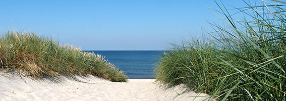 Ostsee bei Dierhagen