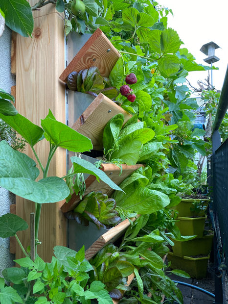 Bepflanztes Vertikalbeet auf 60 cm schmalem Balkon
