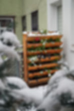 Vertikalbeet mit Winterbepflanzung bei Schnee