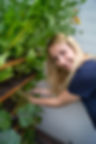 Ernte von Salat aus einem bepflanzten Herbios Vertikalbeet