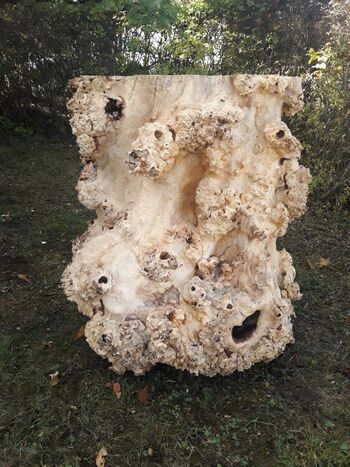 HolzWerk – Fertigung