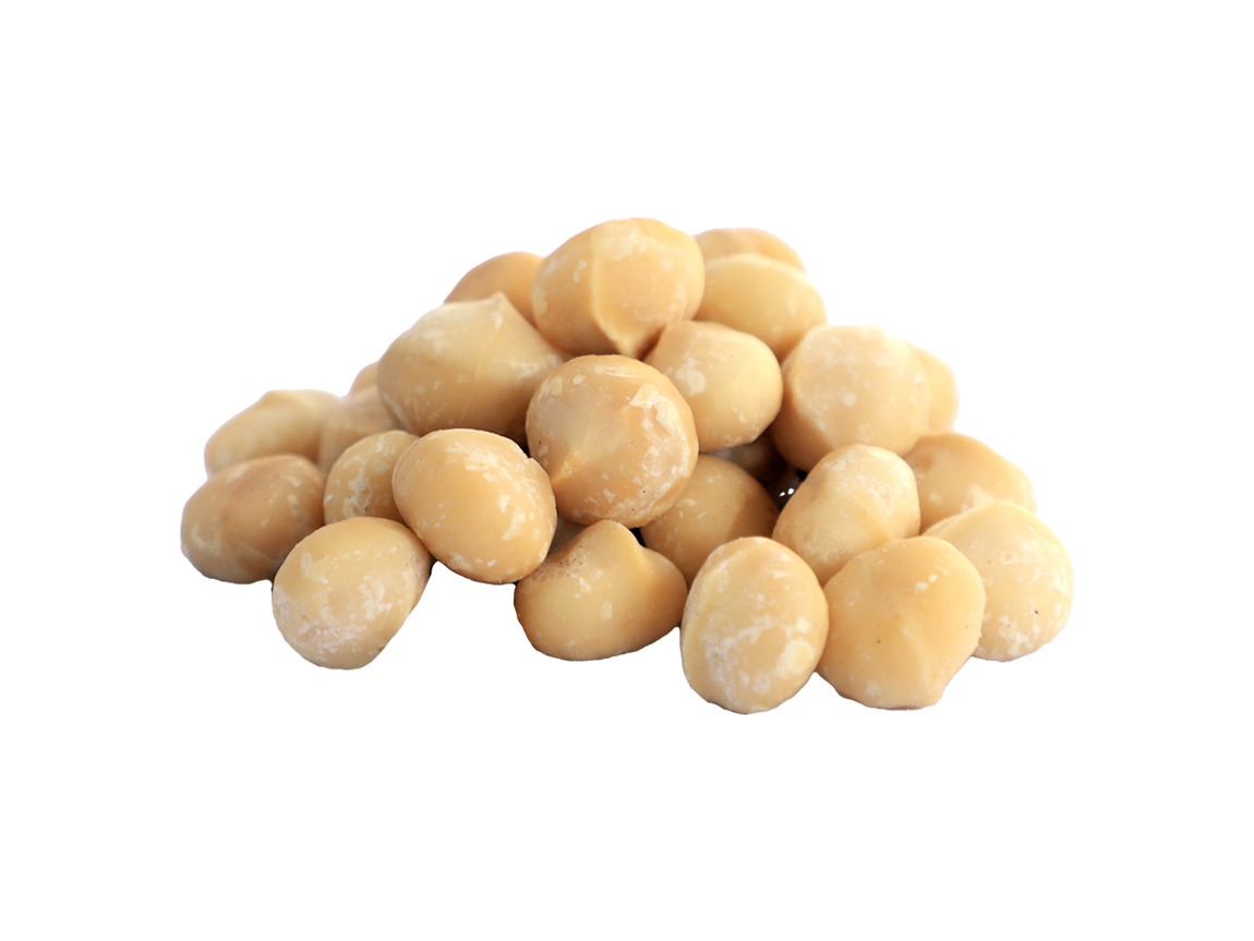 Bio-Macadamia geröstet & gesalzen